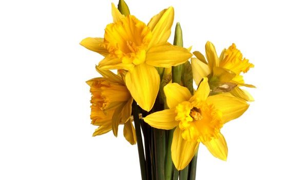 March into Spring with our latest Treatments March into Spring with our latest Treatments
